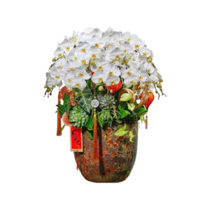 Chậu Hoa Lan Hồ Điệp Màu Trắng 20 Cành, shop cam kết hoa cao cấp, đẹp, tươi lâu hơn 30, nhận cắm hoa theo yêu cầu, miễn phí vận chuyển tại tphcm