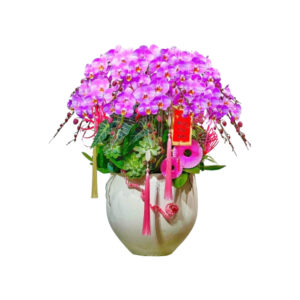 Chậu Hoa Lan Hồ Điệp Màu Hồng 20 Cành, shop cam kết hoa cao cấp, đẹp, độ bền hoa trên 30 ngày, nhận cắm hoa theo yêu cầu, miễn phí vận chuyển tại tphcm
